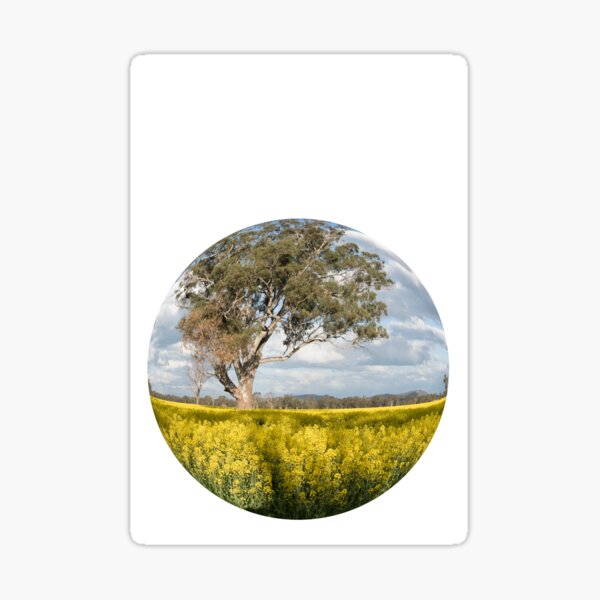 Item preview, Canola Field designed and sold by silvtom.