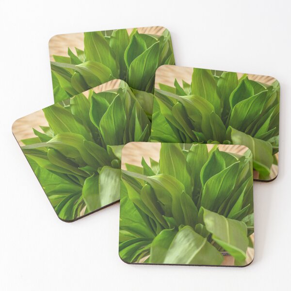Item preview, Wild garlic designed and sold by NBazilenco.