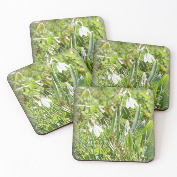 Item preview, Galanthus, snowdrops flowers designed and sold by mary02.