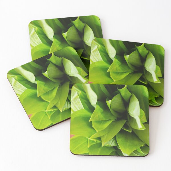 Item preview, Wild garlic designed and sold by NBazilenco.
