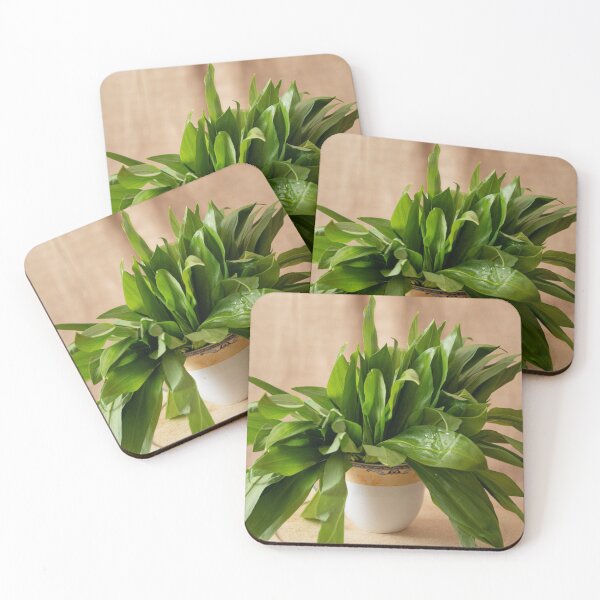Item preview, Wild garlic designed and sold by NBazilenco.