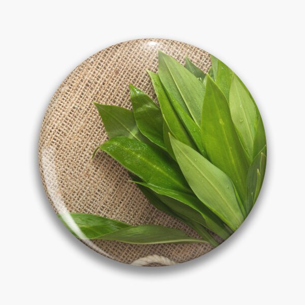 Item preview, Wild garlic designed and sold by NBazilenco.