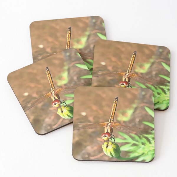 Item preview, Artistic Dragonfly Resting On A Flower Head designed and sold by taiche.