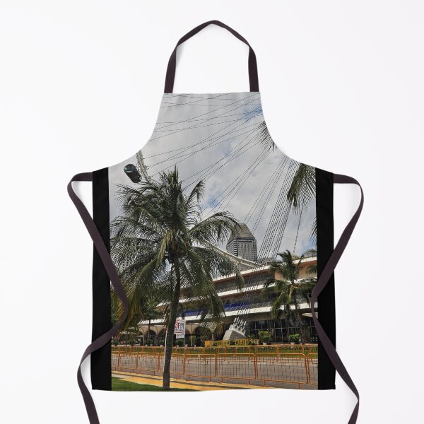 Item preview, Singapore Flyer from the Race Track - Singapore designed and sold by holgermader.