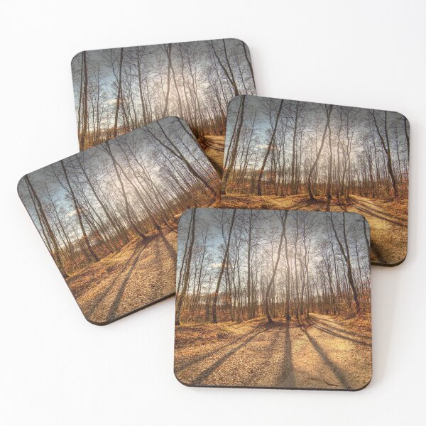 Item preview, Forrest path in the afternoon designed and sold by cerberusart.