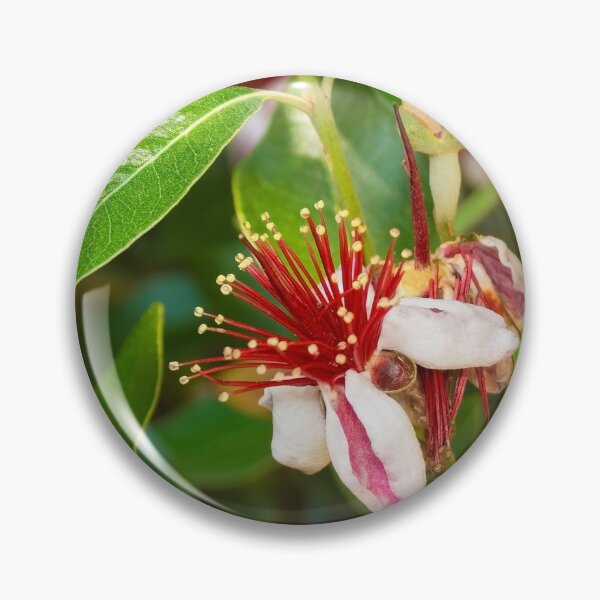 Item preview, Feijoa Flowers designed and sold by jojobob.