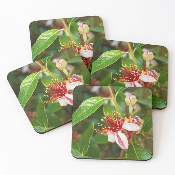 Item preview, Feijoa Flowers designed and sold by jojobob.