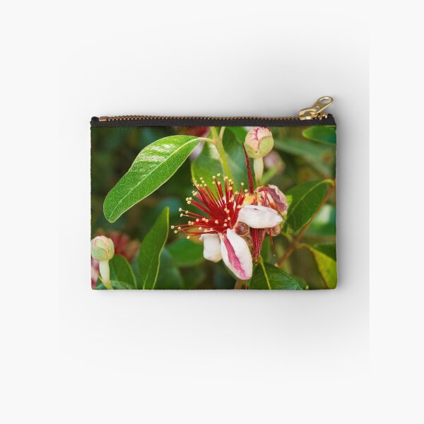 Item preview, Feijoa Flowers designed and sold by jojobob.