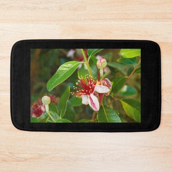 Item preview, Feijoa Flowers designed and sold by jojobob.
