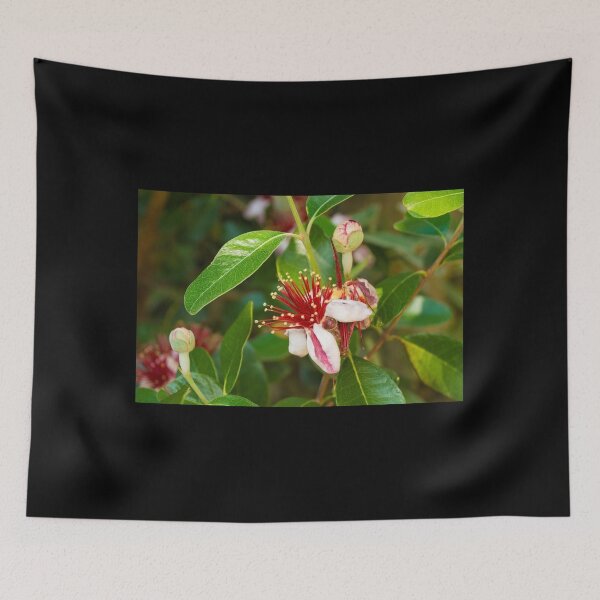 Item preview, Feijoa Flowers designed and sold by jojobob.