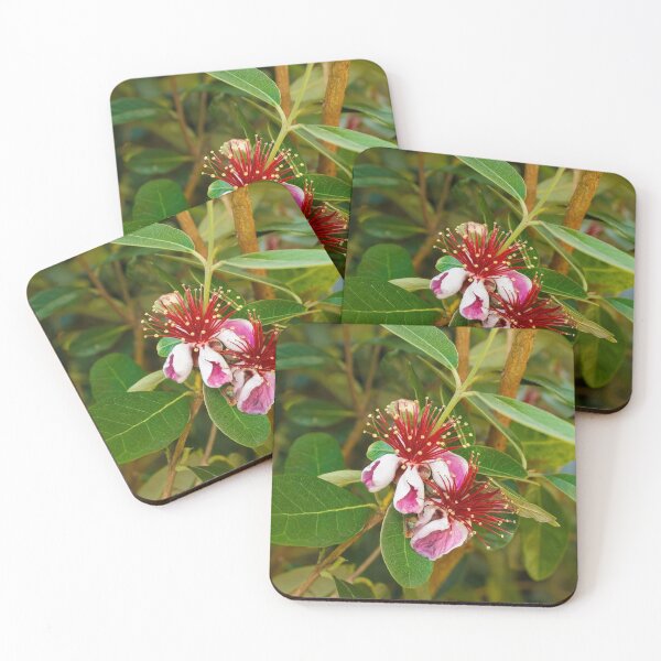 Item preview, Feijoa Flowers designed and sold by jojobob.