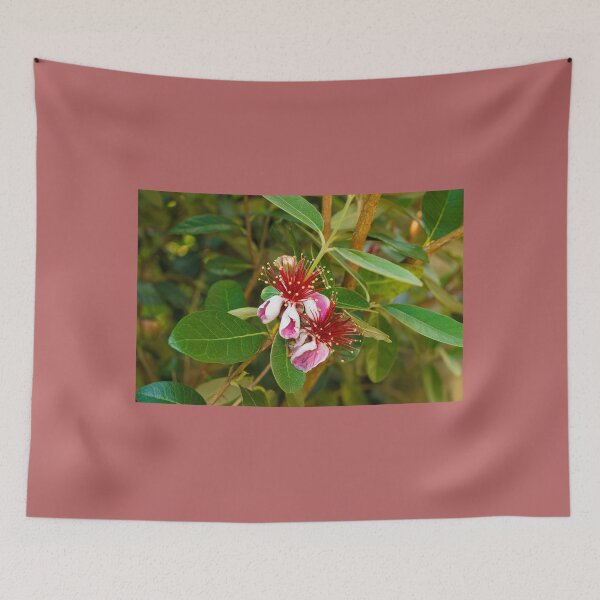Item preview, Feijoa Flowers designed and sold by jojobob.