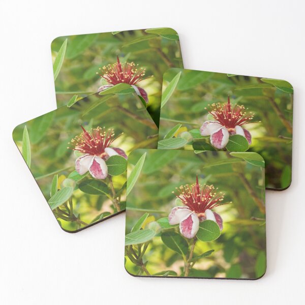 Item preview, Feijoa Flowers designed and sold by jojobob.