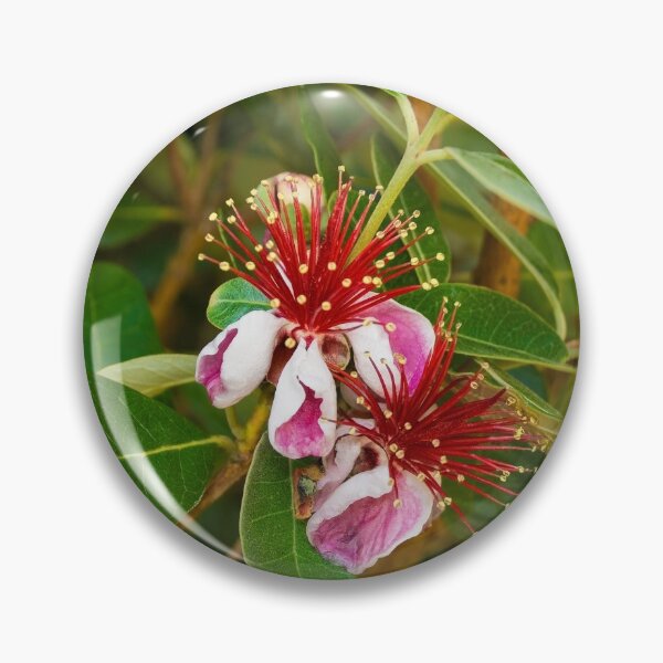 Item preview, Feijoa Flowers designed and sold by jojobob.