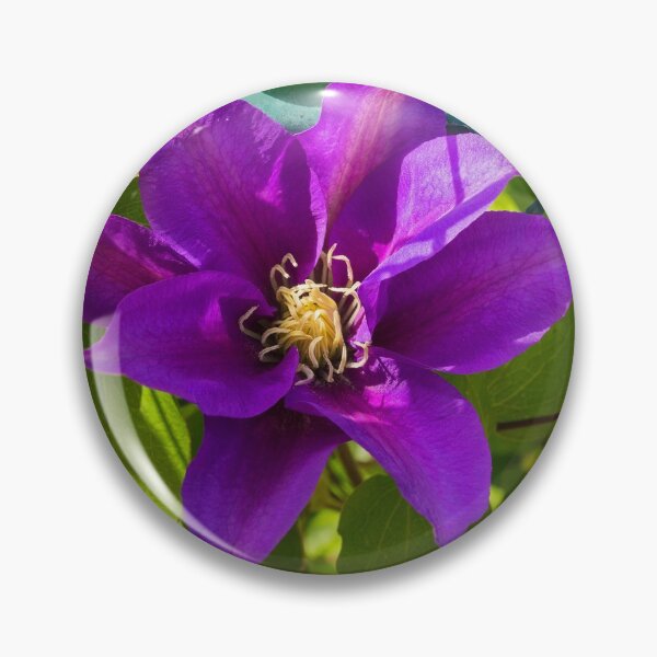 Item preview, Purple Clematis Flower designed and sold by jojobob.