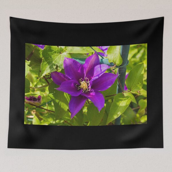 Item preview, Purple Clematis Flower designed and sold by jojobob.