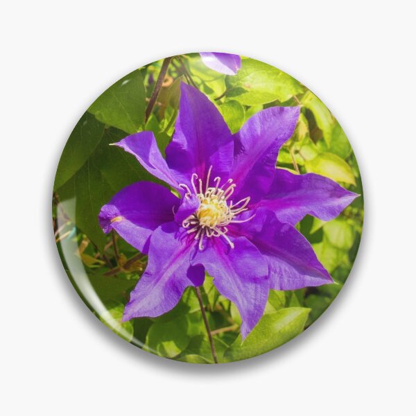 Item preview, Purple Clematis Flowers designed and sold by jojobob.