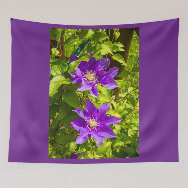 Item preview, Purple Clematis Flowers designed and sold by jojobob.