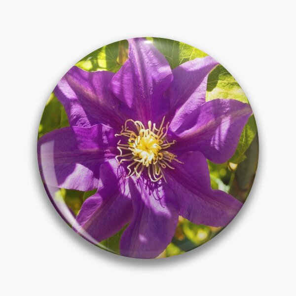Item preview, Purple Clematis Flower  designed and sold by jojobob.