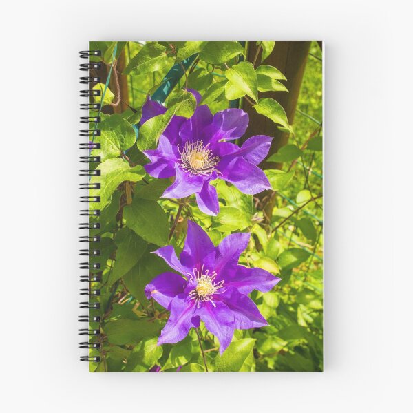 Item preview, Purple Clematis Flowers designed and sold by jojobob.