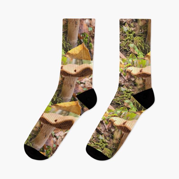 Item preview, Seta en el bosque designed and sold by Totallyalive.