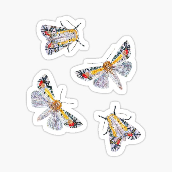 Picasso Moths Sticker