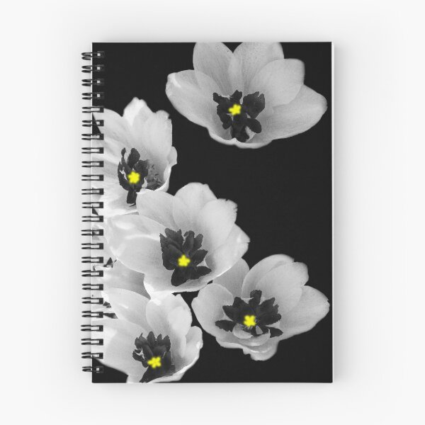 Item preview, The Center of Life designed and sold by heatherfriedman.