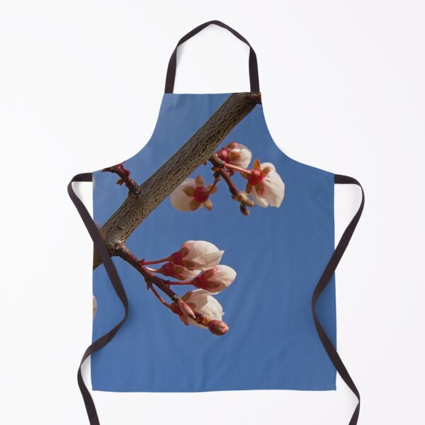 Item preview, Soft pink almond flowers on a blue sky designed and sold by xophotography.
