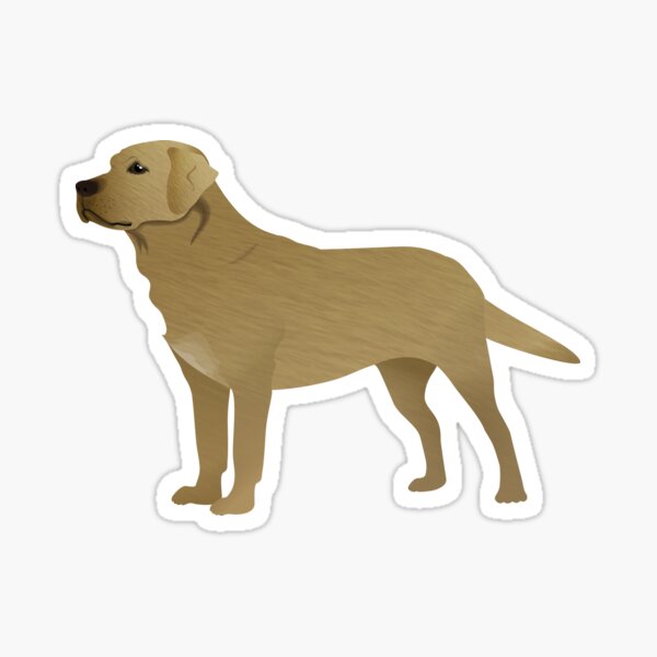 Dog Illustration - Labrador Sticker