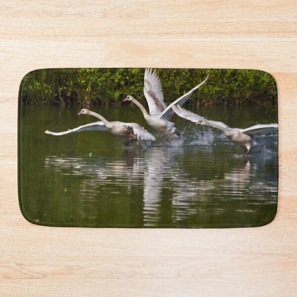 Item preview, Mute Swans Take Off at Brackley Lake designed and sold by Jeremy Hayden.