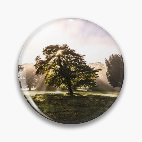 Item preview, At sunrise, sunlight reaches the misty Irish forest meadows through the tops of trees designed and sold by AlbertMi.