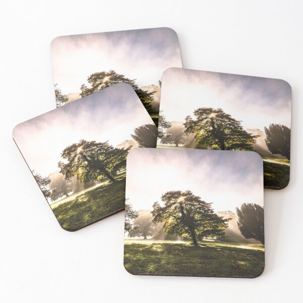 Item preview, At sunrise, sunlight reaches the misty Irish forest meadows through the tops of trees designed and sold by AlbertMi.