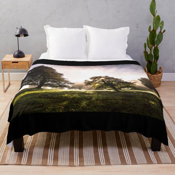 Item preview, At sunrise, sunlight reaches the misty Irish forest meadows through the tops of trees designed and sold by AlbertMi.