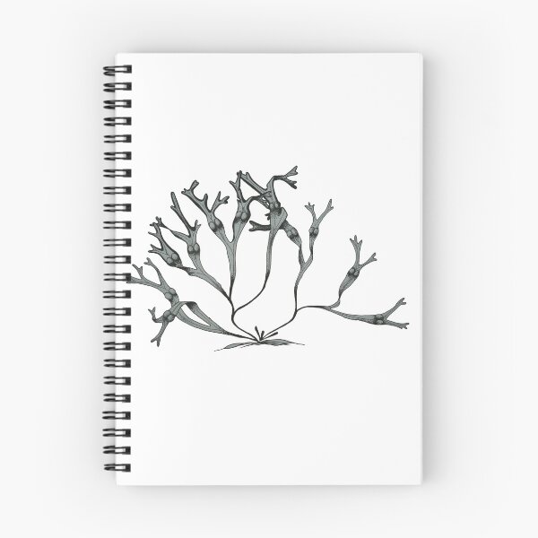 Item preview, NEAS Meeting 2014 Logo Fucus designed and sold by NortheastAlgae.