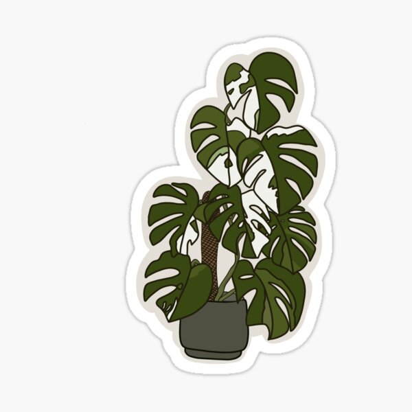 Vista previa del artículo con la obra «Albo Monstera», diseñado y vendido por paoloballadares.