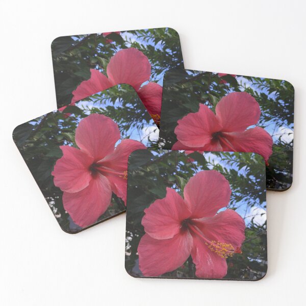 Item preview, Hibiscus designed and sold by EloB.