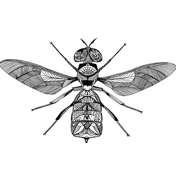 Artwork thumbnail, Pretty Flying Insect by ecosimon