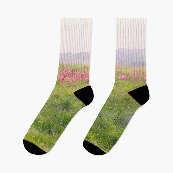 Item preview, Little Spring Flowers, Cruden Bay Coast, Aberdeen, Scotland designed and sold by Yannik Hay.