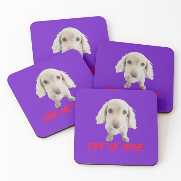 Item preview, Take me home cute dog designed and sold by Teo13.