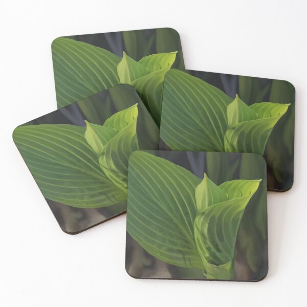 Item preview, Hosta designed and sold by Mossy Frog Witch.