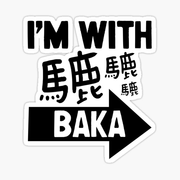 What does 'Dame Da Ne/Baka Mitai' mean in English? It's Japanese