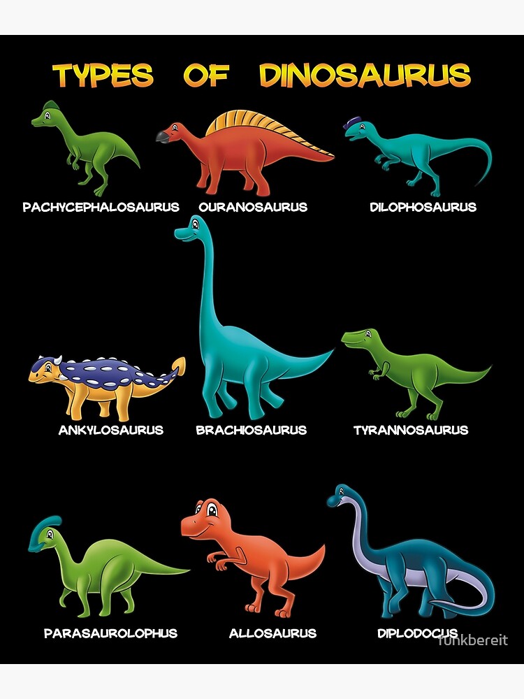 Kids Types Of Dinosaurs Dino Identification Poster