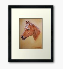 Pferd Gerahmtes Wandbild