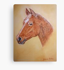 Pferd Metalldruck