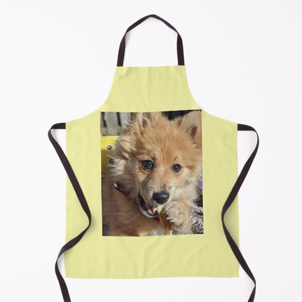Item preview, Copy of Pomeranian puppy Kai designed and sold by Fluffycat2020.