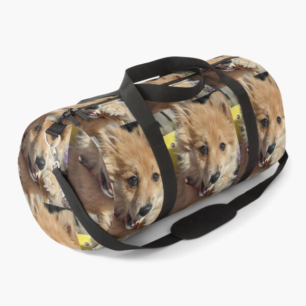 Item preview, Copy of Pomeranian puppy Kai designed and sold by Fluffycat2020.
