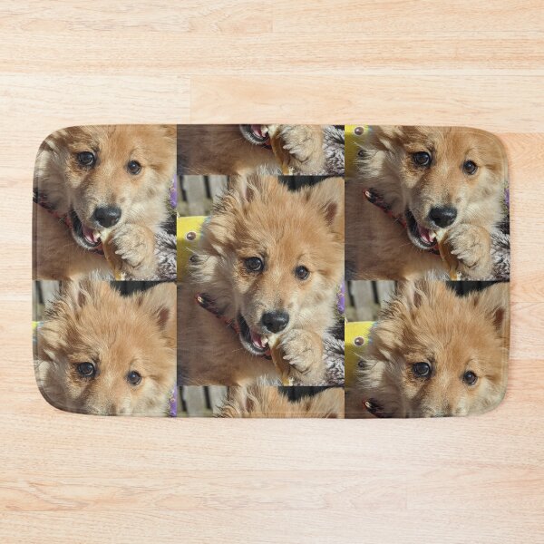 Item preview, Copy of Pomeranian puppy Kai designed and sold by Fluffycat2020.