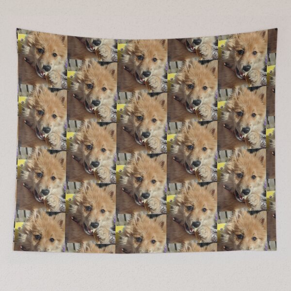 Item preview, Copy of Pomeranian puppy Kai designed and sold by Fluffycat2020.