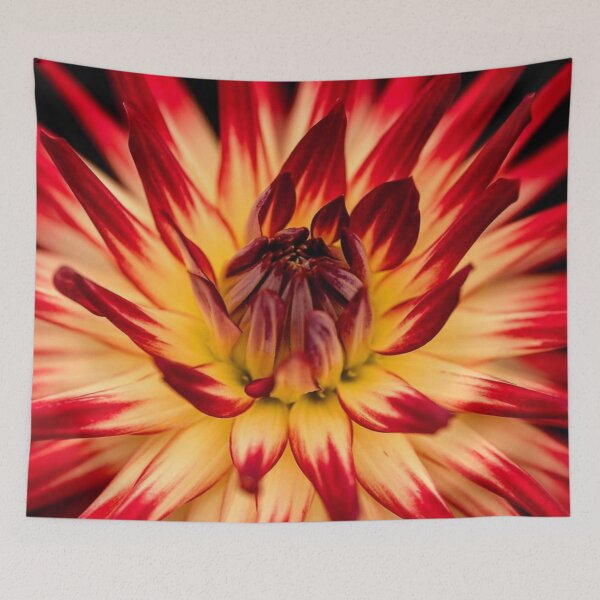 Item preview, wonderful pic of flower designed and sold by Teo13.