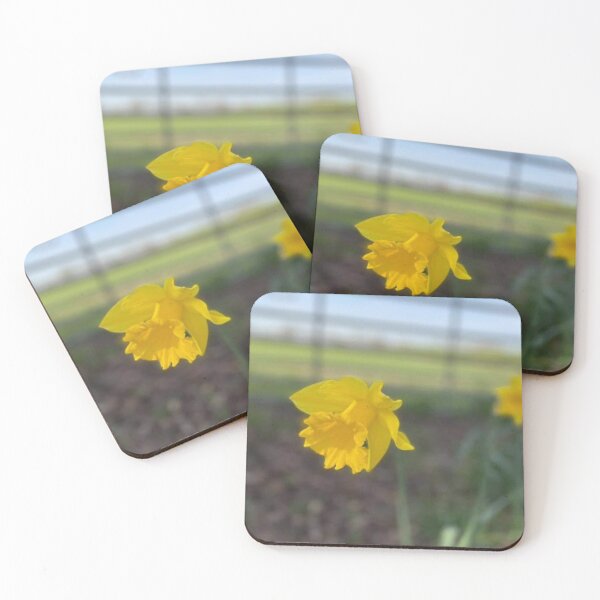 Item preview, Yellow Flower designed and sold by Hooria-awan.